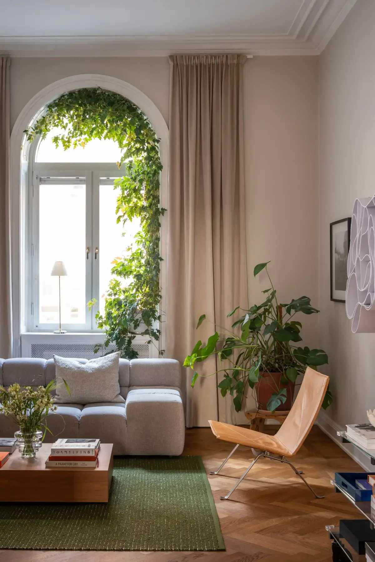 arched living room window plants