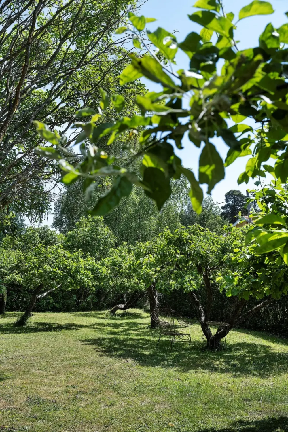 Scandinavian Design Meets The Hamptons in a Swedish Country House 64 garden with fruit trees