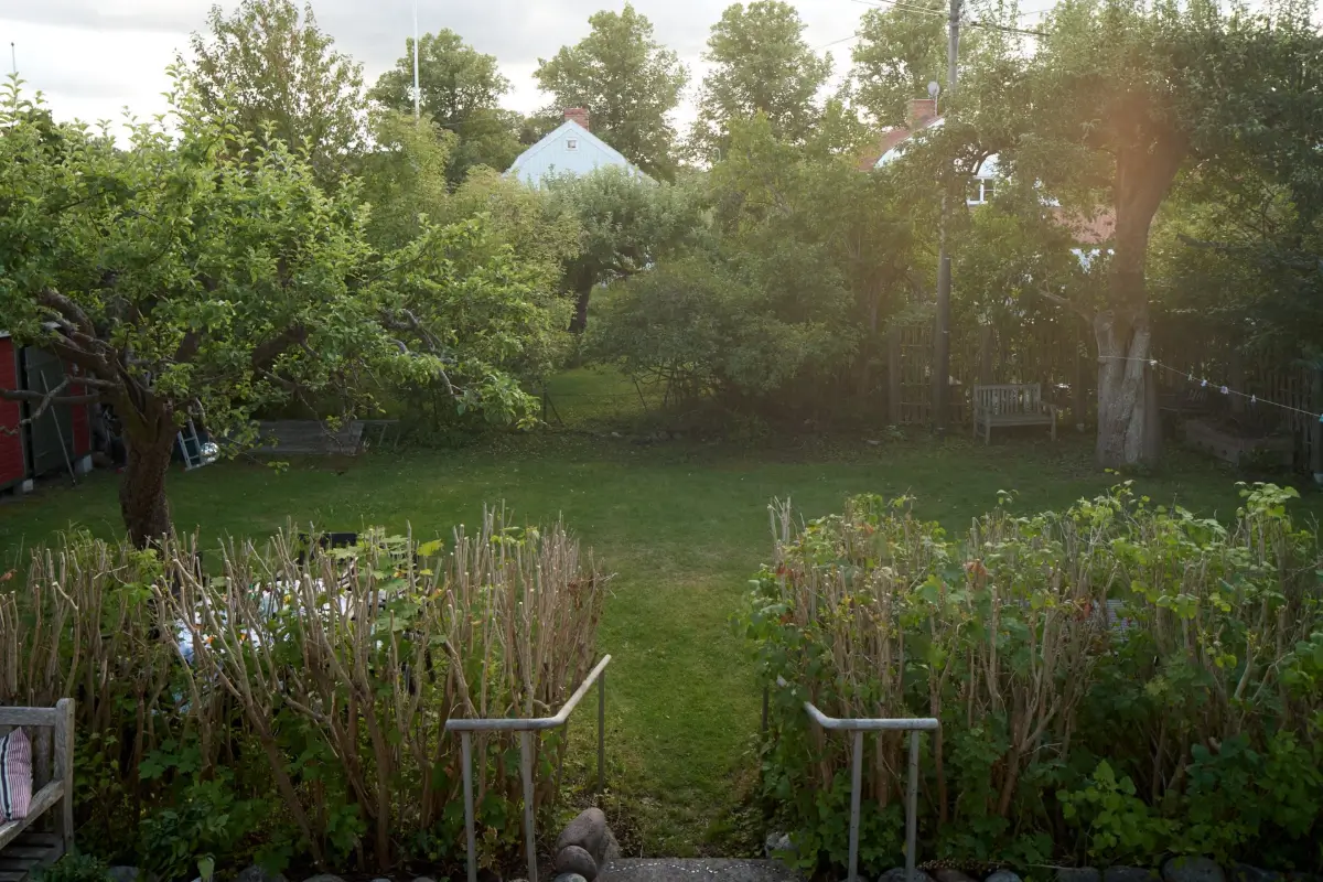 A Well-Preserved 1920s House with a Green Kitchen in Stockholm 43 garden