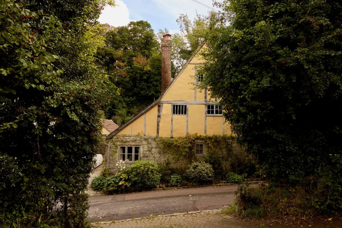 An English Cottage with Historic Character and a Charming Garden 38 palm cottage32 An English Cottage with Historic Character and a Charming Garden