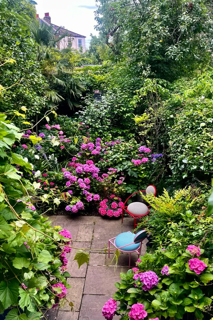 Best of 2025: Balconies and Gardens 23 purple flowers city garden