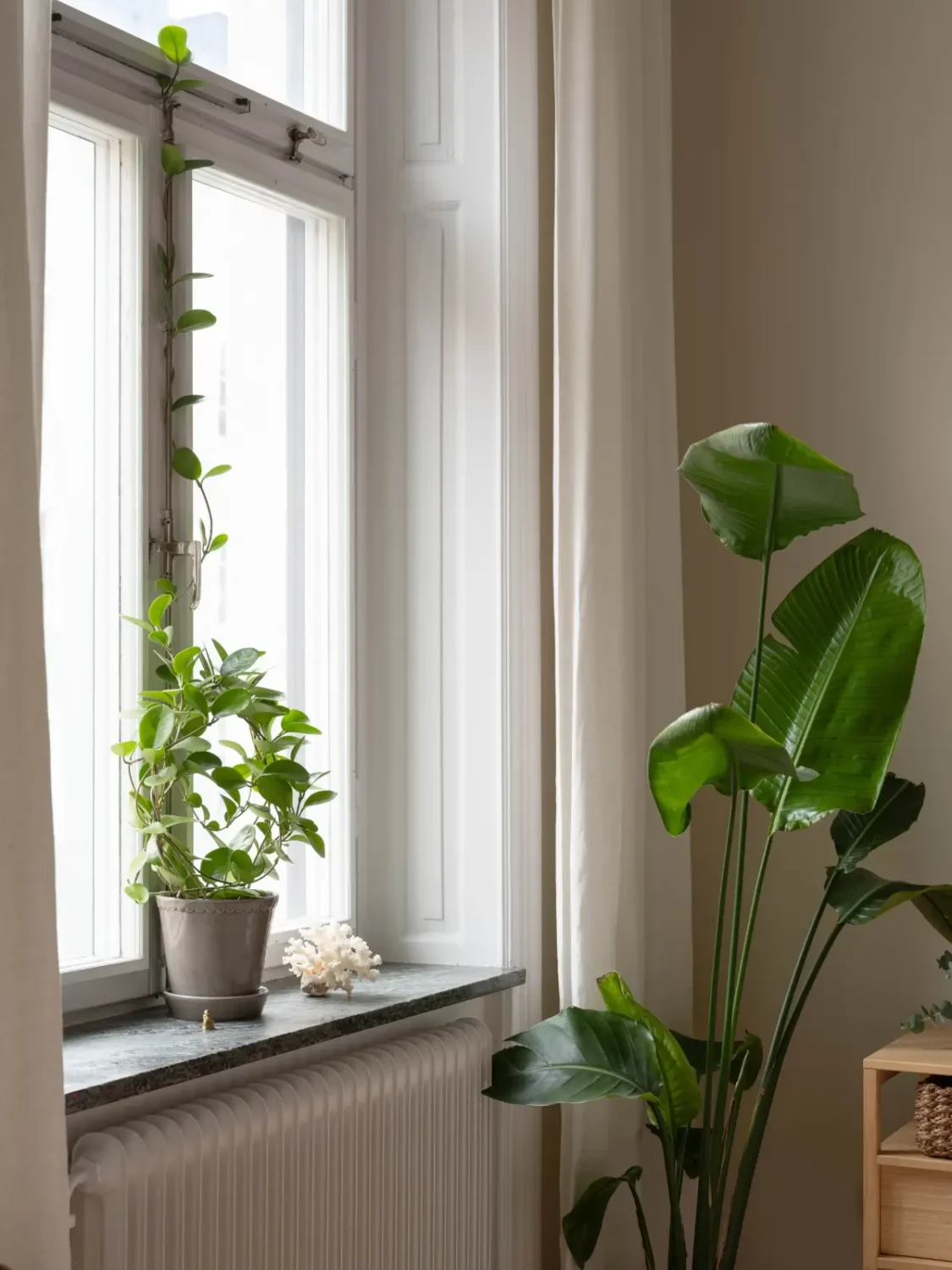 A Light and Spacious Corner Apartment in a 19th-Century Building 23 bedroom window