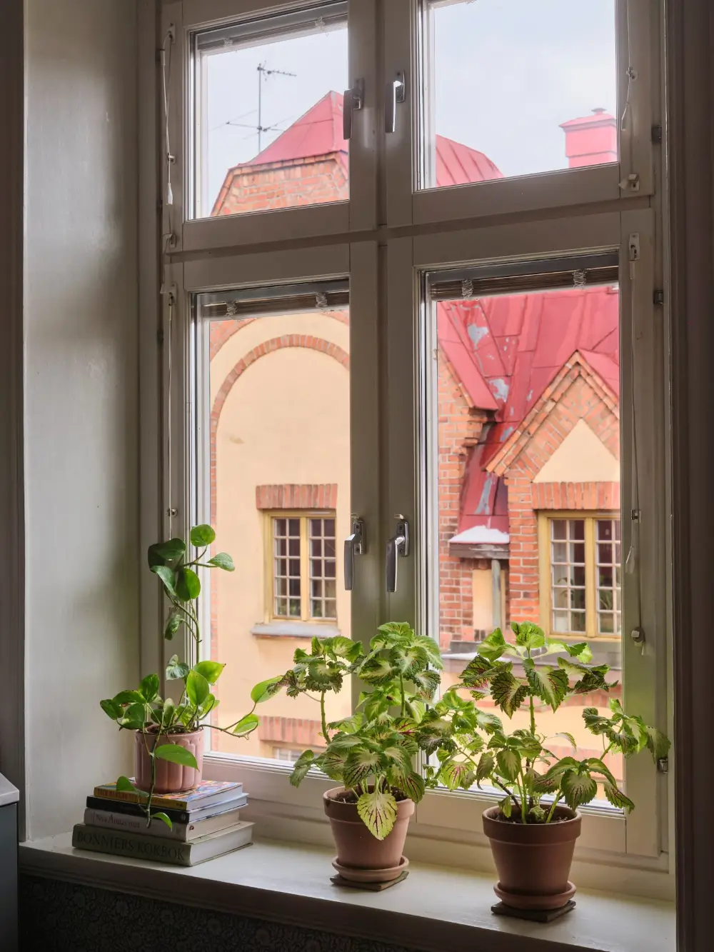 A Pink Living Room in a Top Floor Art Nouveau Apartment 20 pink-living-room-early-20th-century-apartment-nordroom