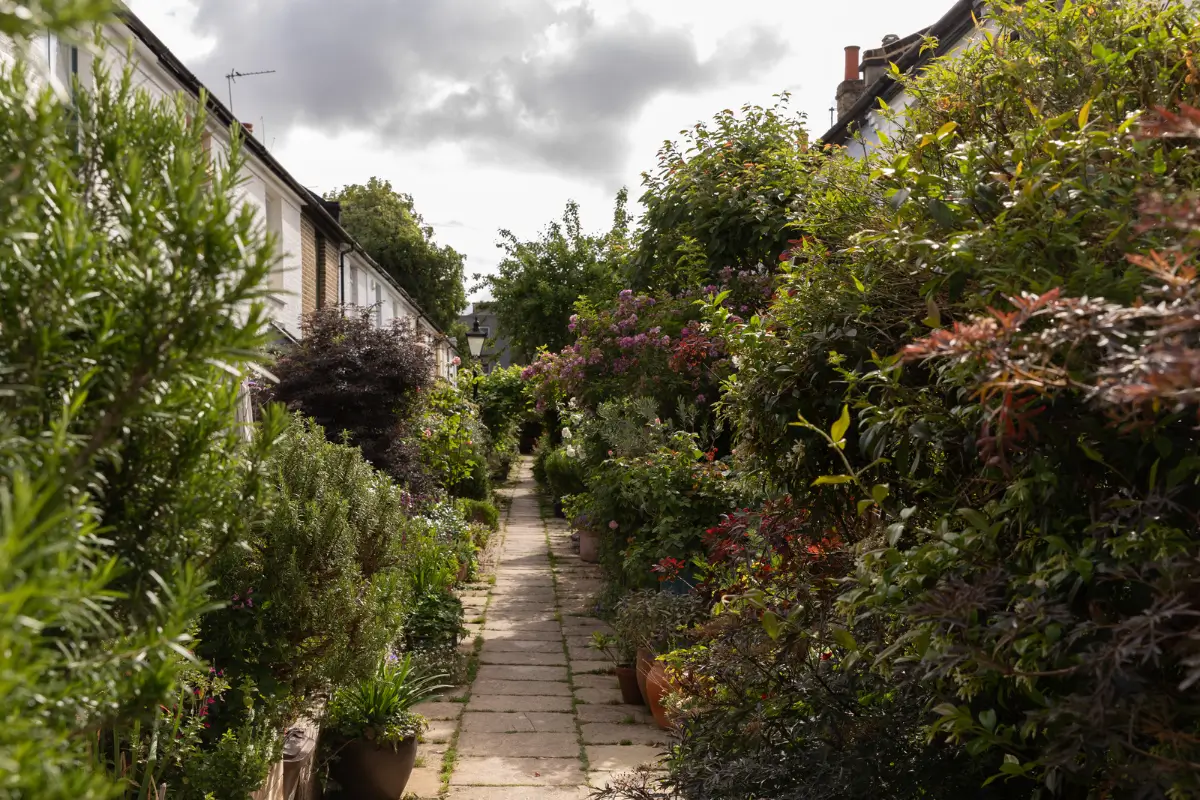A Victorian Cottage on a Quiet Lane Surrounded by Flowers in South-East London 36 reimagined-victorian-cottage-communal-garden-south-east-london-nordroom