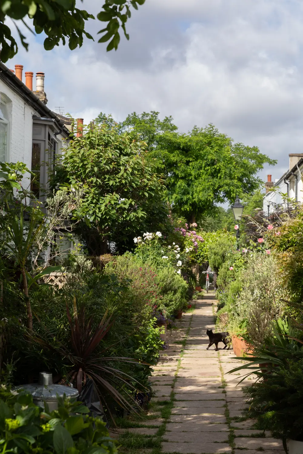 A Victorian Cottage on a Quiet Lane Surrounded by Flowers in South-East London 31 reimagined-victorian-cottage-communal-garden-south-east-london-nordroom